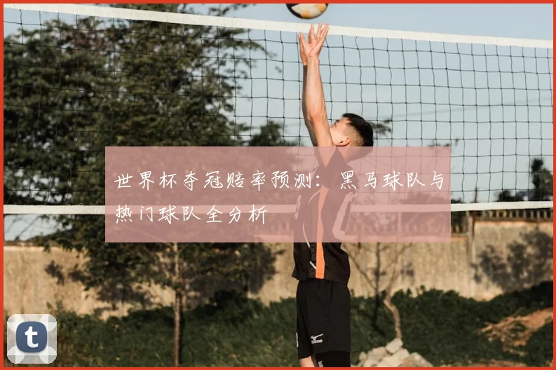 世界杯夺冠赔率预测：黑马球队与热门球队全分析