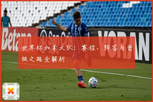 世界杯加拿大队：赛程、阵容与晋级之路全解析