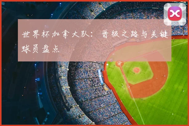 世界杯加拿大队：晋级之路与关键球员盘点